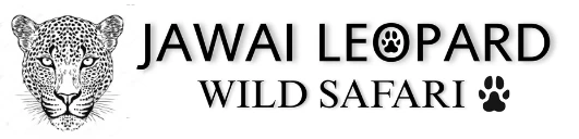 Jawai Leopard Wild Safari